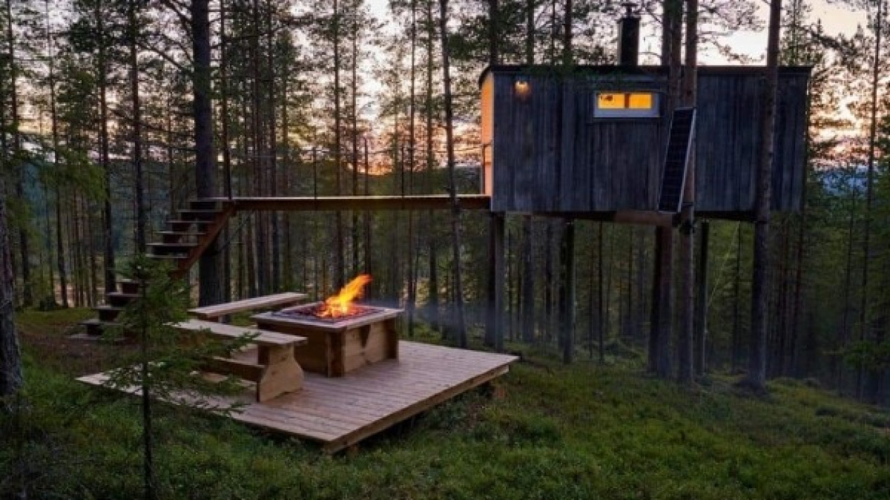 Review Treehotel Swedia Pengalaman Tidur di Rumah Pohon