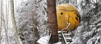 Review Hotel Free Spirit Spheres Rumah Pohon Unik Kanada