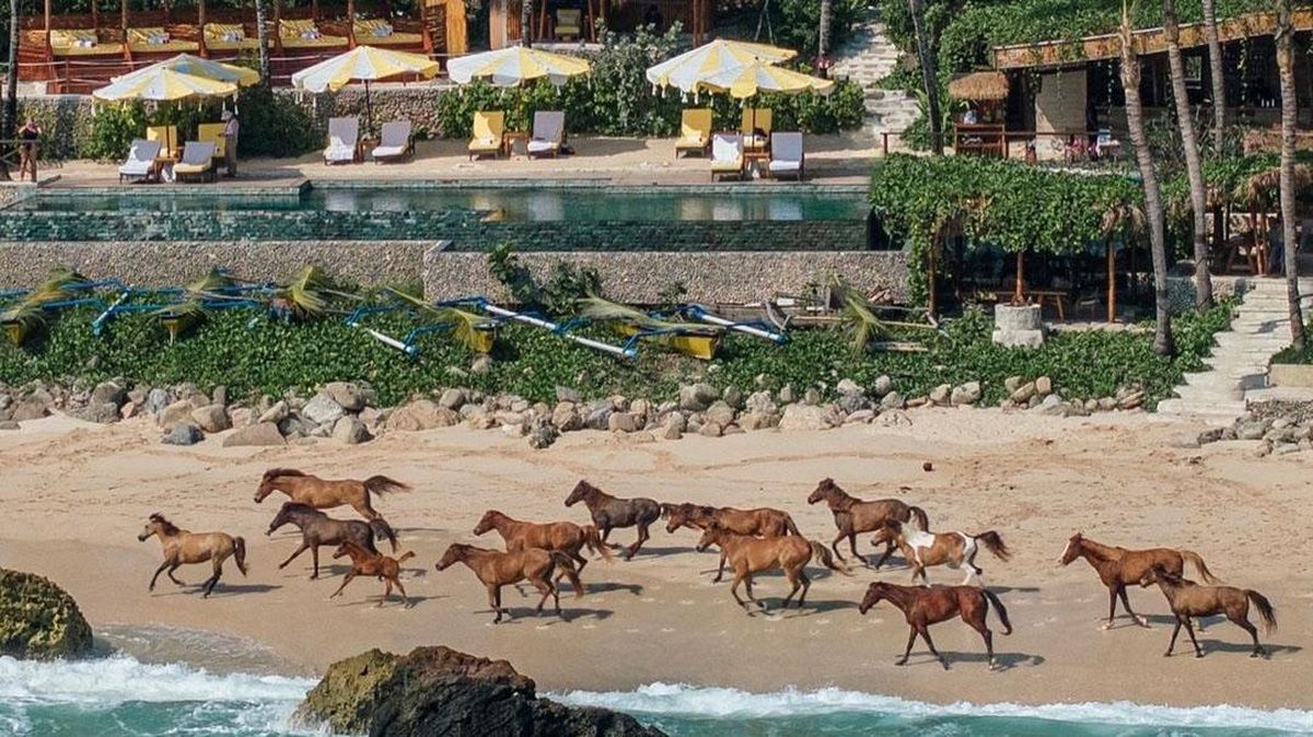 Review Hotel Nihi Sumba Pengalaman Resort Terbaik Dunia