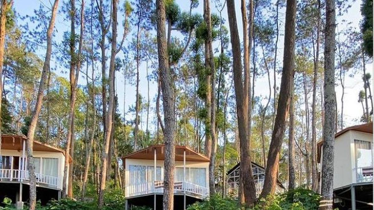 Review Hotel Glamping di Tengah Hutan yang Paling Menenangkan